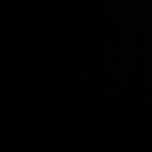 Meet your Posher, Lee